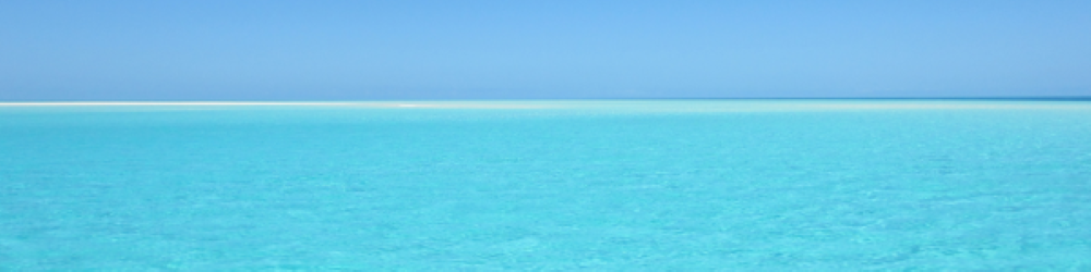 レビューの総合百貨店